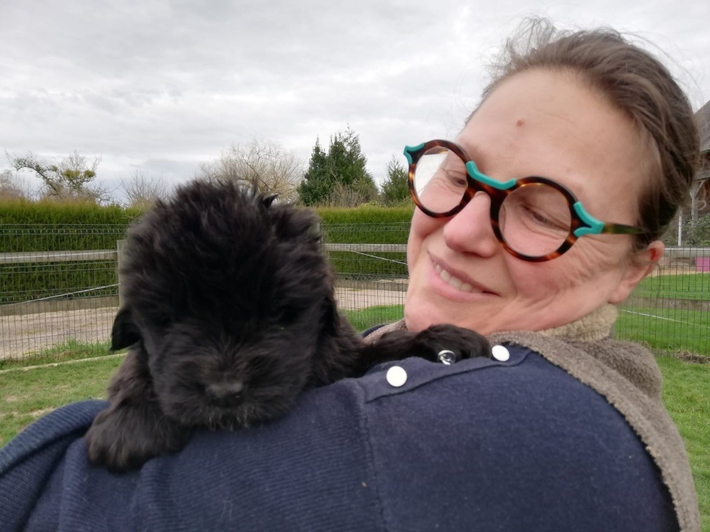 Des Tourbillons De La Paquine - Terre-neuve - Portée née le 18/01/2024